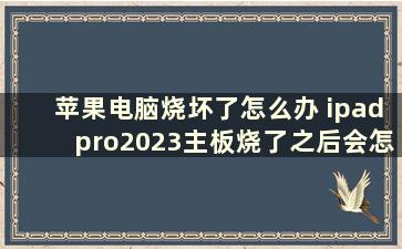 苹果电脑烧坏了怎么办 ipadpro2023主板烧了之后会怎么样